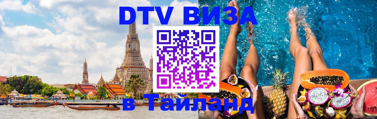 Сколько стоит DTV виза — актуальные цены, оформление даже без документов - 19.11.2025 